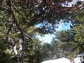 Canigou_2010 003